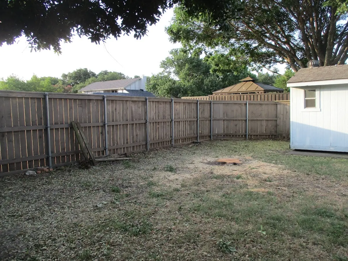 Cleared yard after professional tree removal in Bell City
